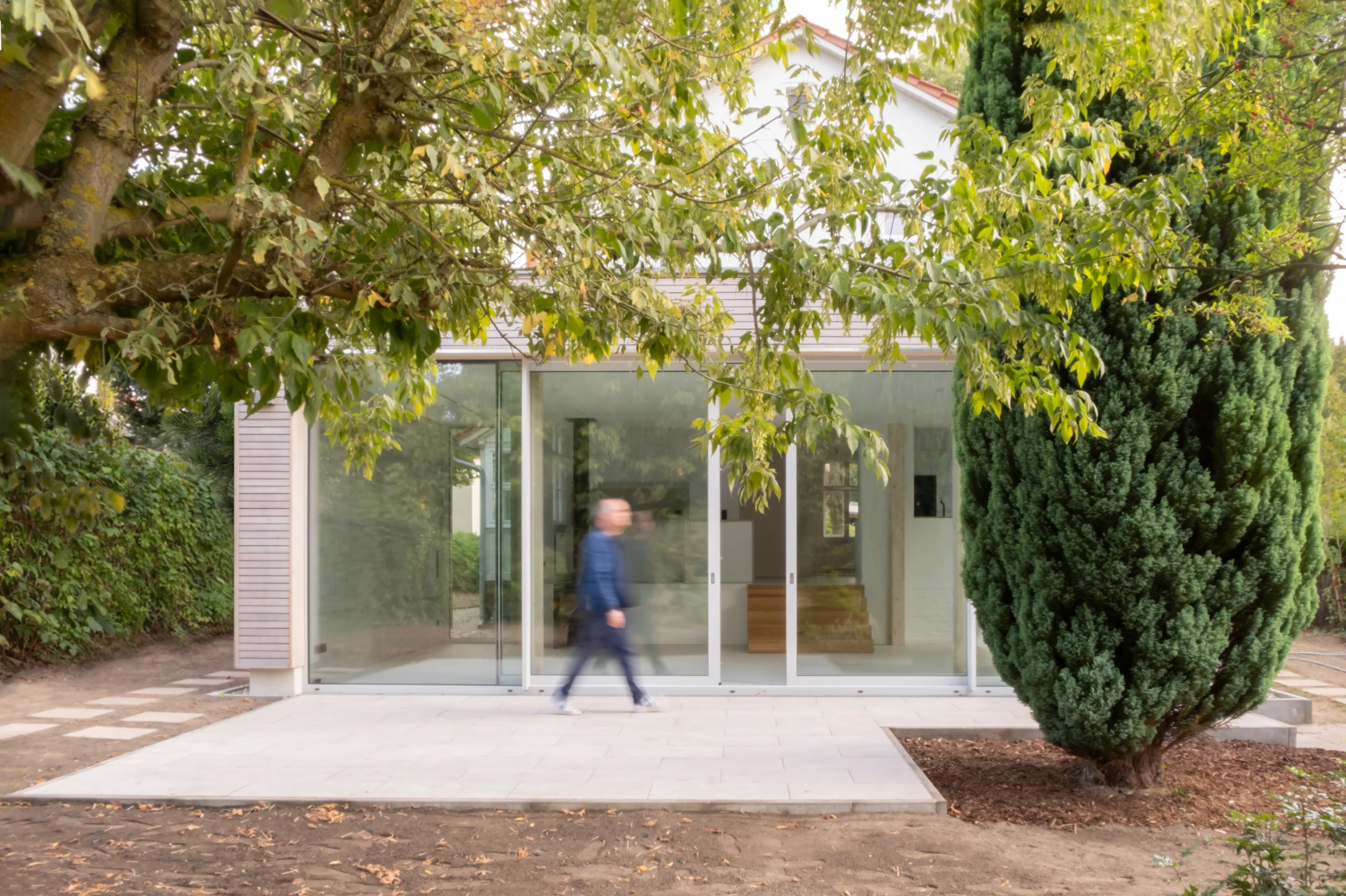DE_Image2-Yew-Tree-Living-terrace-with-yew-tree_NEW inimalistischer moderner Anbau in Berlin mit großen Glasschiebetüren, Holzfassade und integrierter Gartenterrasse.