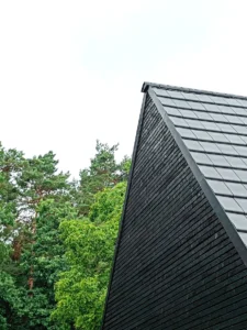 Architectural detail of a modern gabled roof with dark tiles and a charred timber facade (Shou Sugi Ban) set against a forest background.