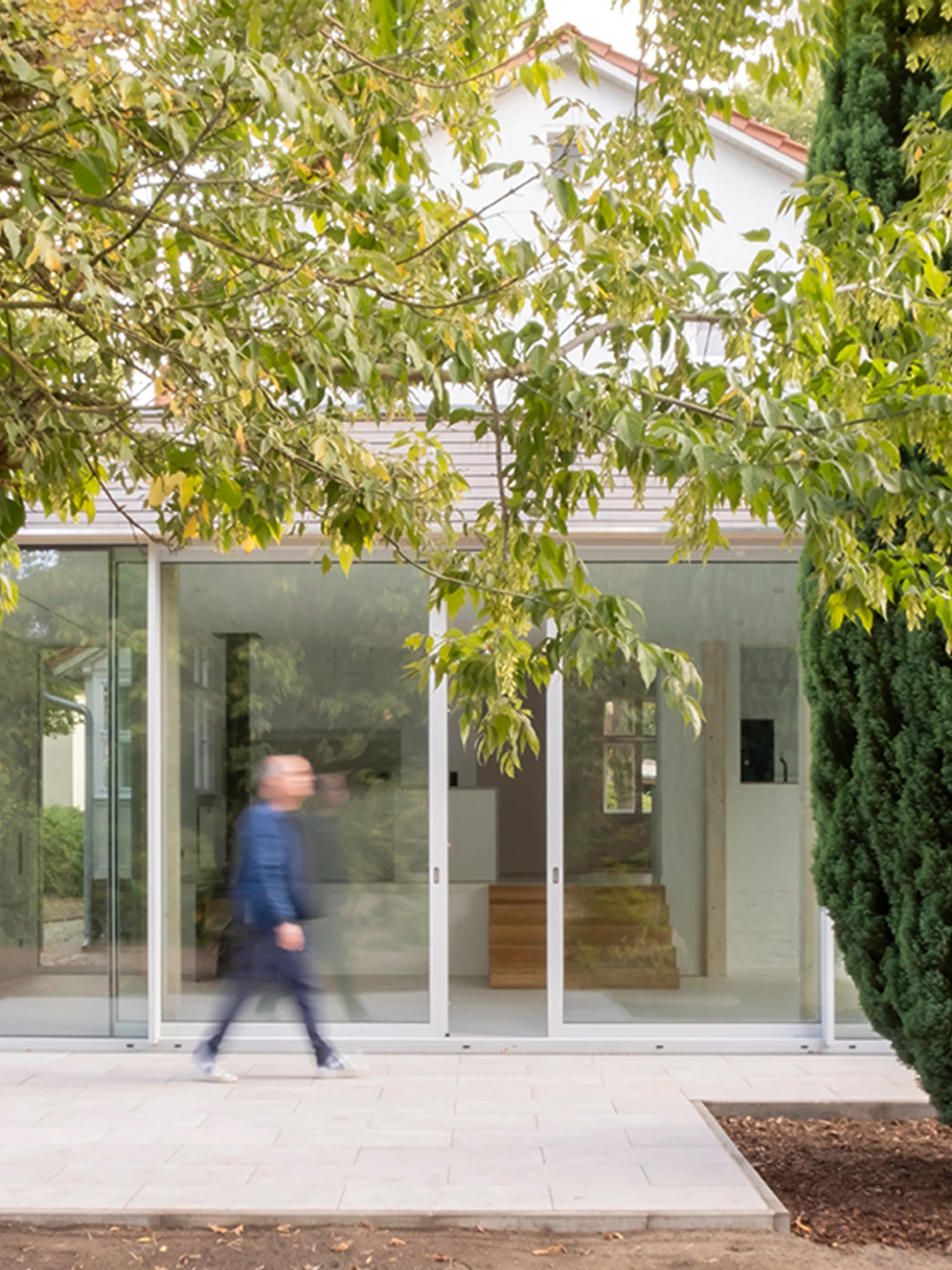 Vertical architectural view of a modern house extension with floor-to-ceiling glass doors, framed by a prominent green cypress tree and overhanging branches.
